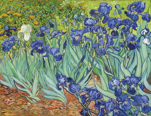 Vincent van Gogh: Iris (Schwertlilien, 1889)
