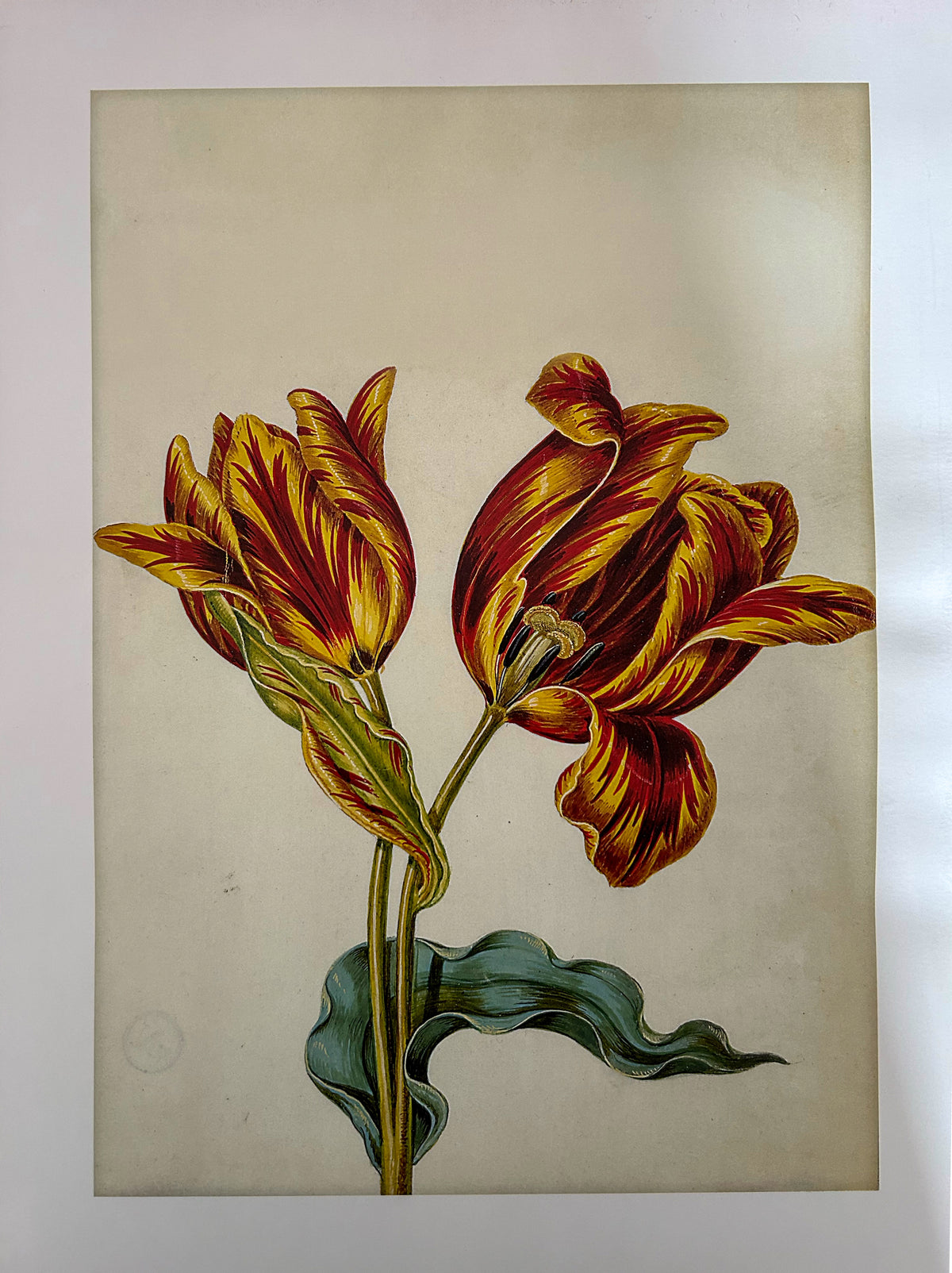 Kunst-Print