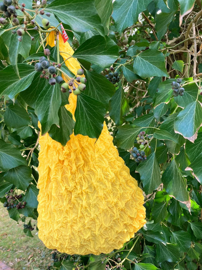 Crinkle Bag Gelb